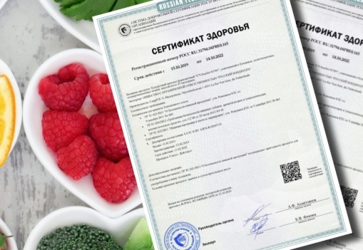 Разработан проект закона о порядке оформления сертификата здоровья 